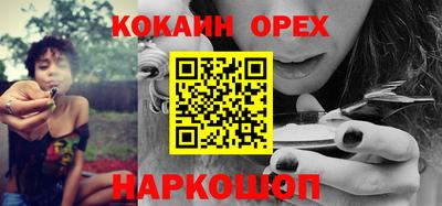 крисы Гусев
