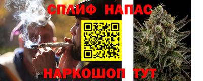 крисы Гусев