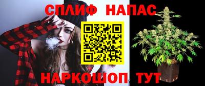 крисы Гусев