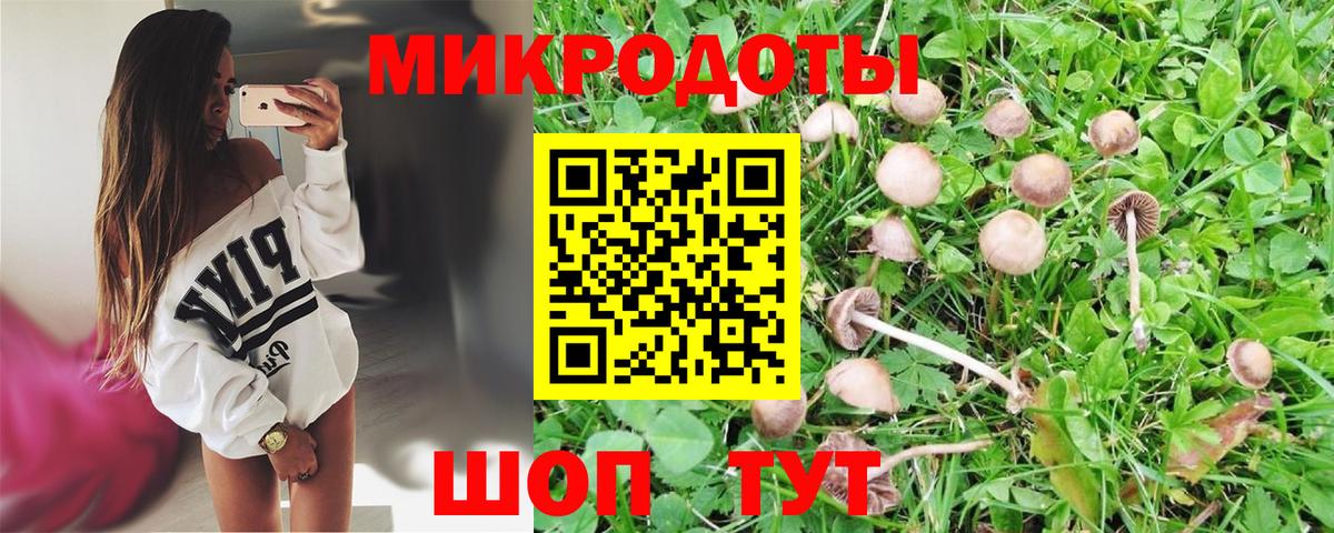 Псилоцибиновые грибы Cubensis Волгоград